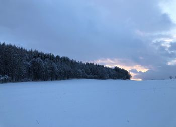 Trees on snow covered land against sky