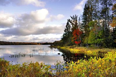 Scenic view of lake against sky during autumn