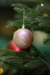 Close-up of christmas decorations