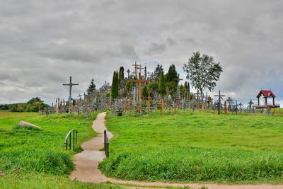 Trees on grassy field against cloudy sky