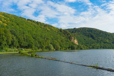 Scenic view of lake by trees against sky