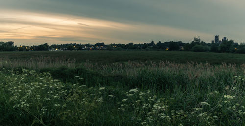 Scenic view of field against sky during sunset