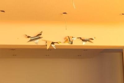 Close-up of birds flying against the sky