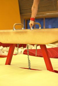 Cropped hand of person holding pommel horse in gym