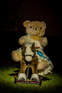 Close-up of toys toy on field at night