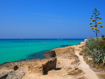 Scenic view of beach against clear blue sky