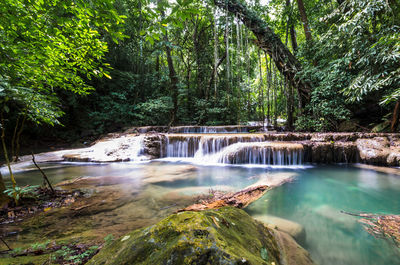 Scenic view of waterfall in forest