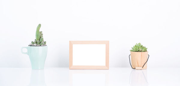 Close-up of potted plant on table against white background