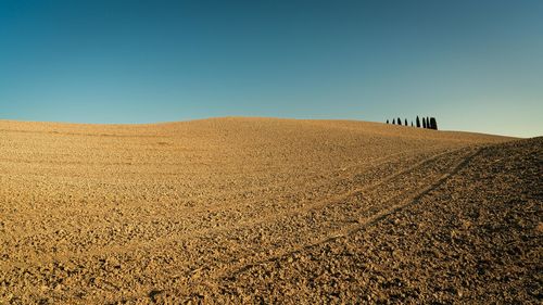 Scenic view of field against clear sky