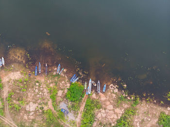 High angle view of people by plants