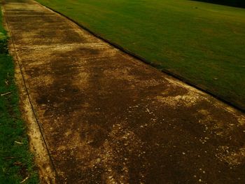 Scenic view of field