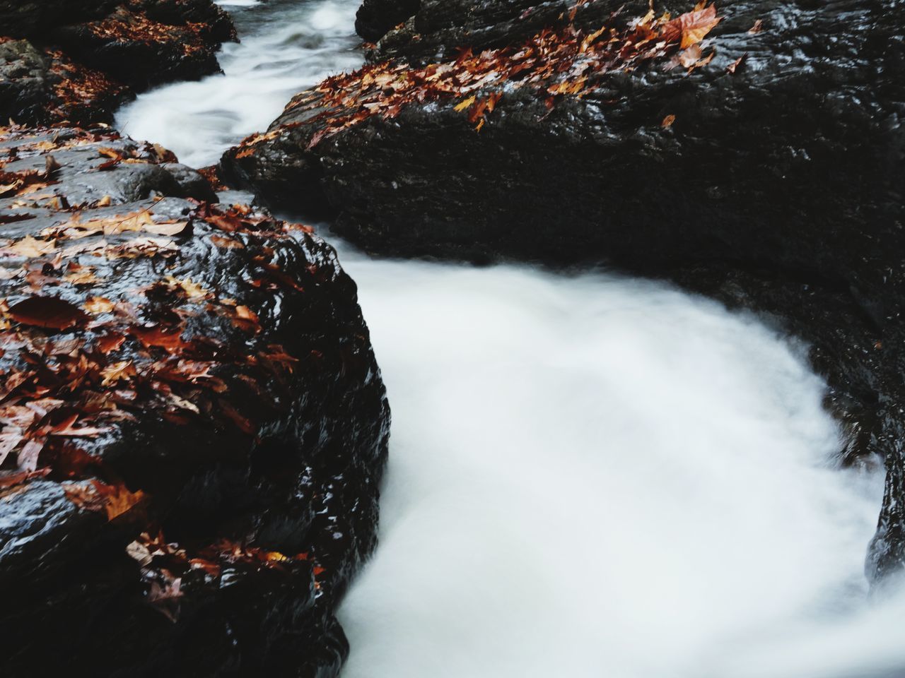 CLOSE-UP OF ROCKS IN WATER