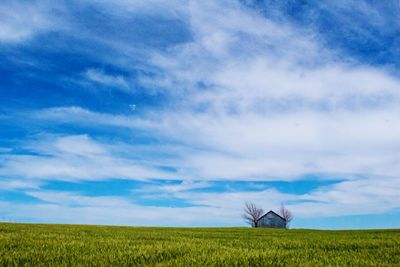 Scenic view of field against cloudy sky