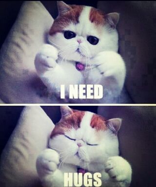 I want a hugs :(