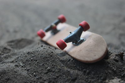 High angle view of crab on wood