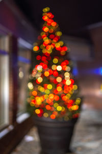 Illuminated christmas tree at night