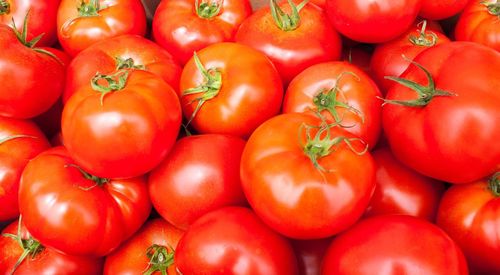 Full frame shot of tomatoes