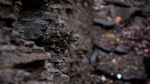 Close-up of rocks