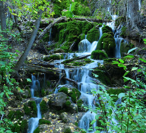 Waterfall in forest