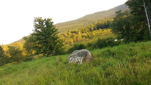 Scenic view of grassy field against sky