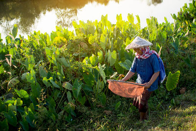 Senior farmer standing on field