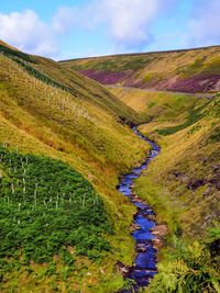 Scenic view of river amidst green landscape against sky