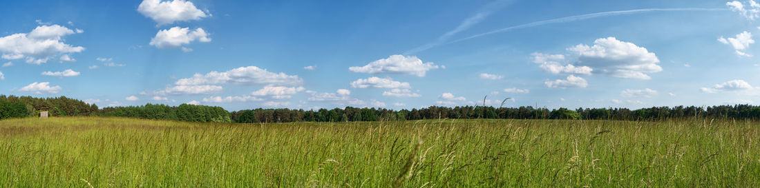 sky