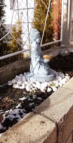 Close-up of statue against trees