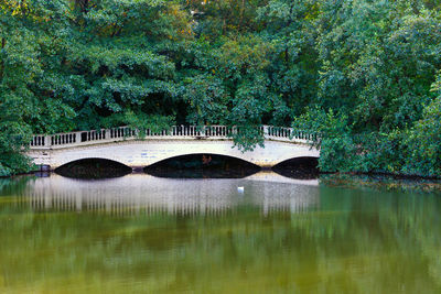 Arch bridge over river amidst trees