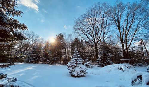 Bare trees on snow covered field against sky