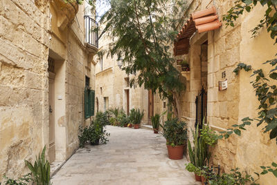 Narrow alley amidst buildings in city