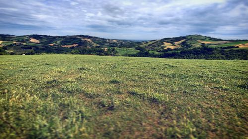 Scenic view of field against sky