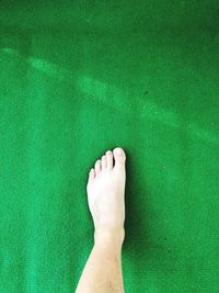 Low section of person legs on green leaf