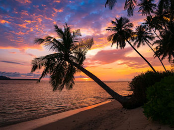 Silhouette palm tree by sea against romantic sky at sunset