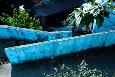 Potted plants on abandoned boat
