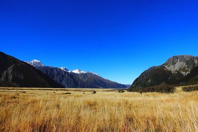 Scenic view of field against clear blue sky