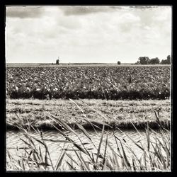 Scenic view of field against cloudy sky