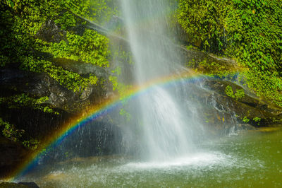 Scenic view of rainbow over forest
