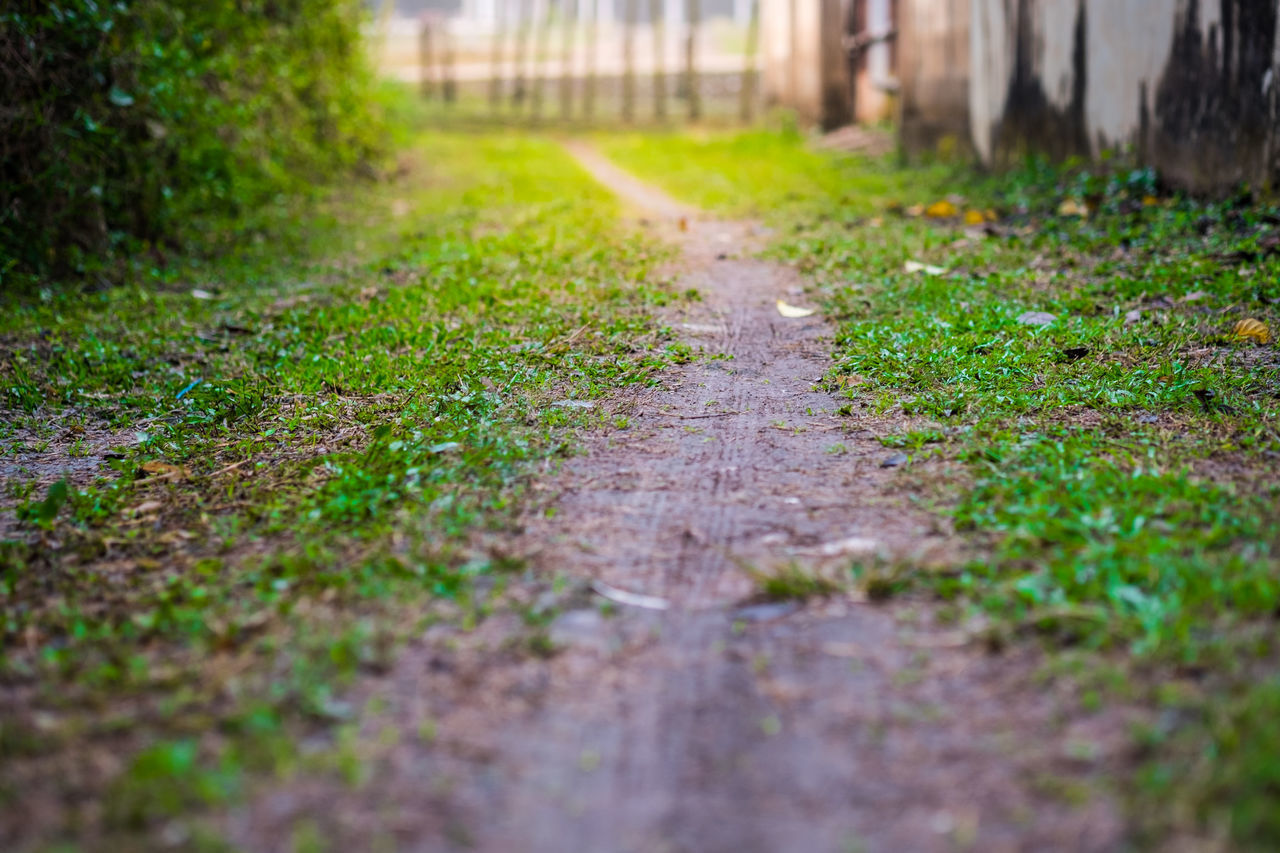 SURFACE LEVEL OF FOOTPATH