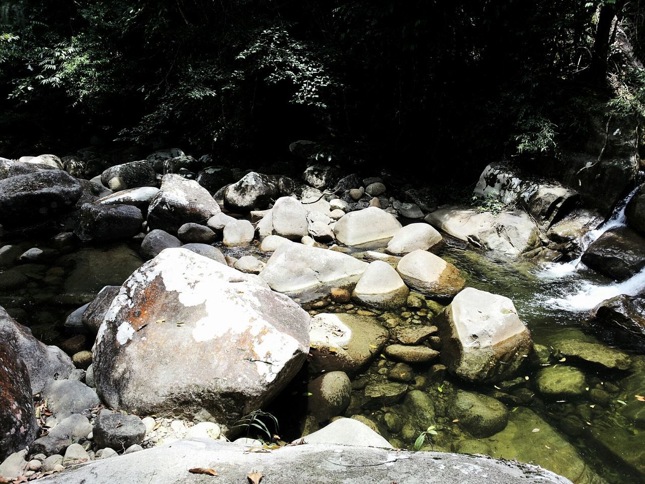 Gunung Gading National Park