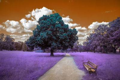 Trees by plants on field against sky