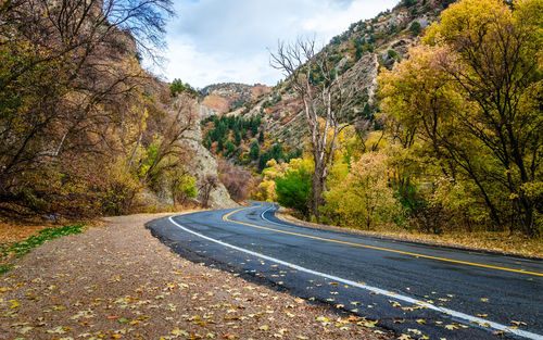 Road amidst trees against sky during autumn