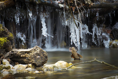 Scenic view of waterfall in forest