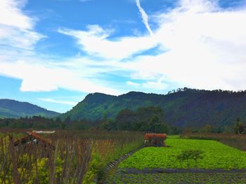 Scenic view of field against cloudy sky