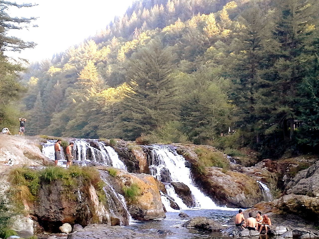 SCENIC VIEW OF WATERFALL BY TREES AGAINST SKY