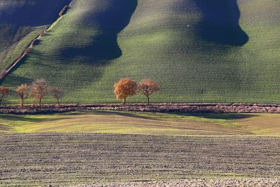 Scenic view of farm