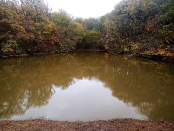 Reflection of trees in lake during autumn