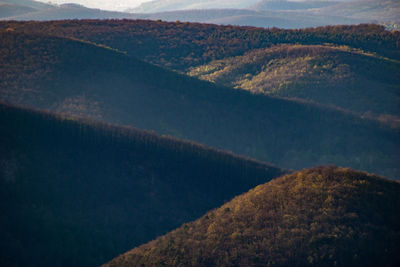 High angle view of land