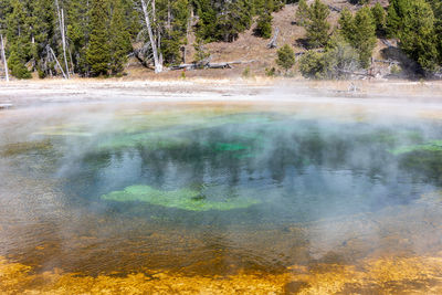 Beauty pool in yellowstone national park