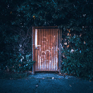 Rusty closed door against trees